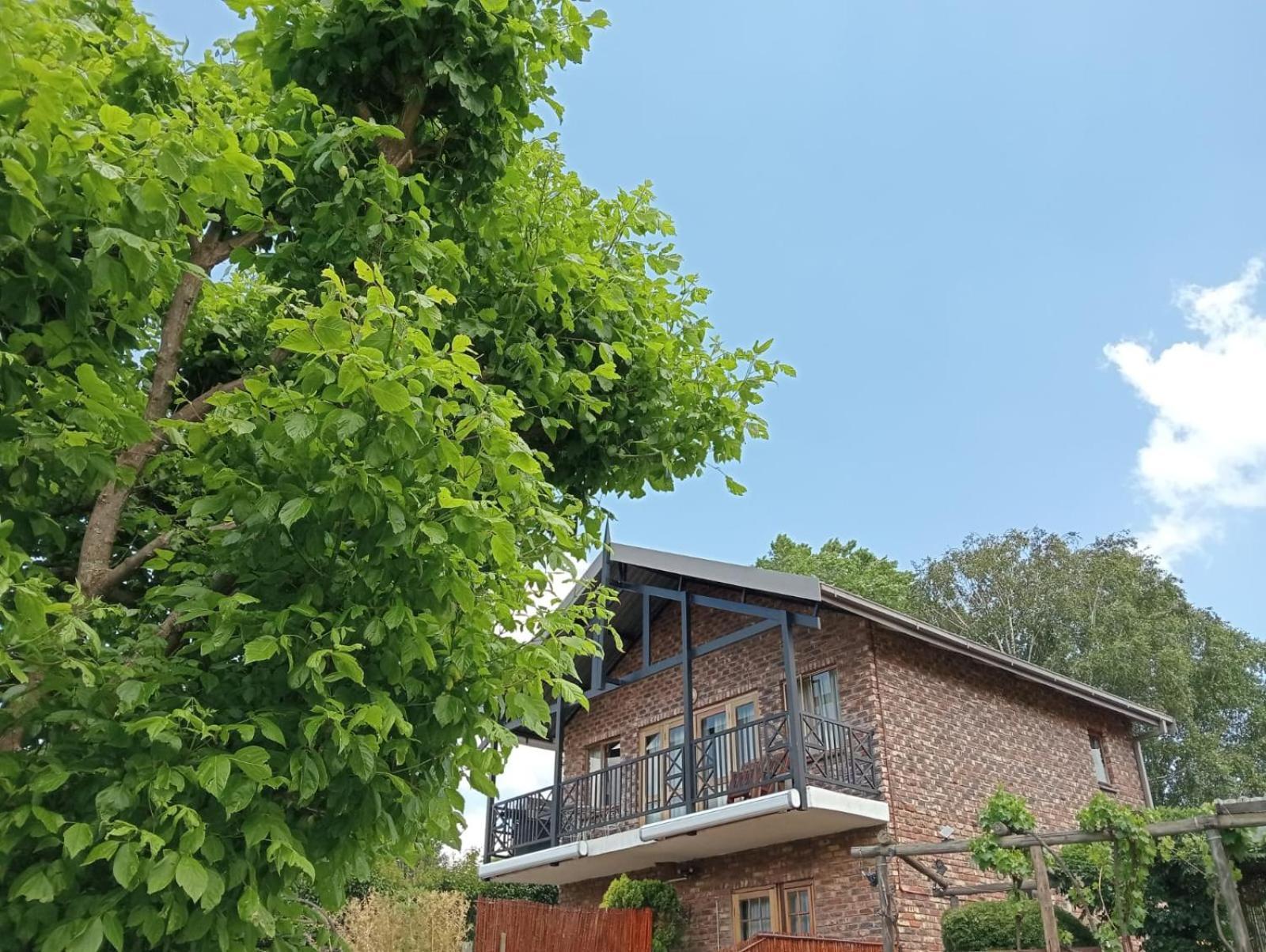 Fairview Cottages クラレンス エクステリア 写真